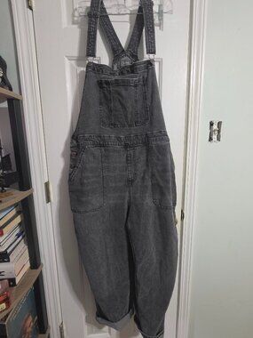 Torrid Denim Overalls Petite
